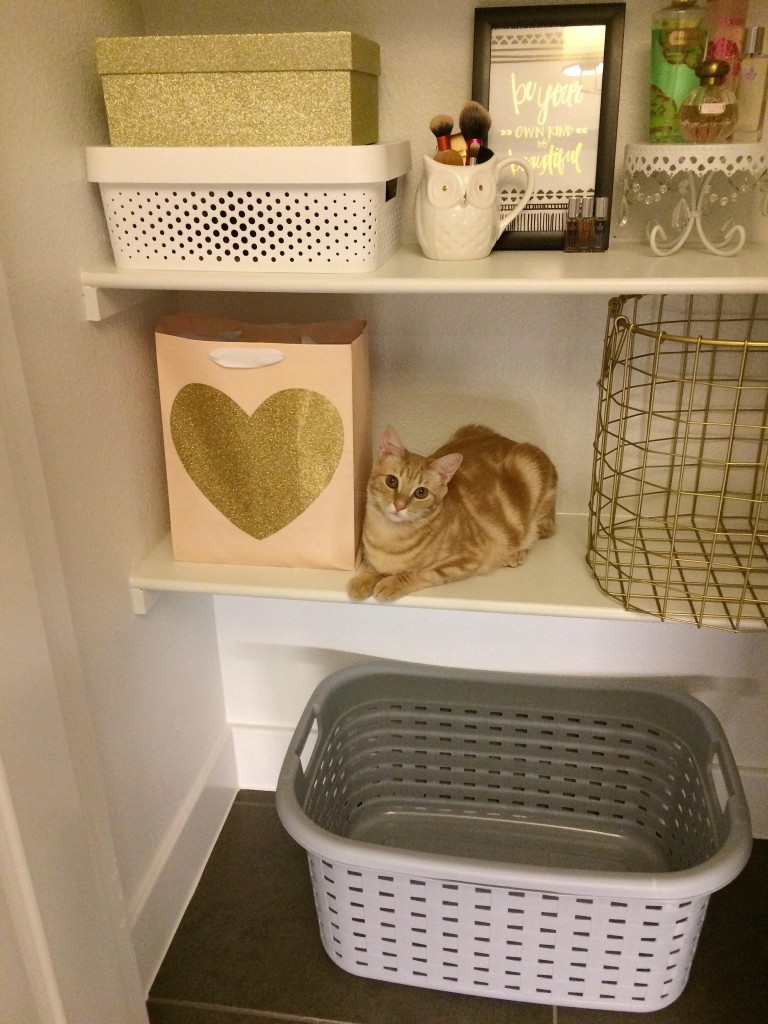 Cute orange cat sitting on shelf inside linen closet