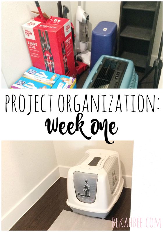Project Organization: week one