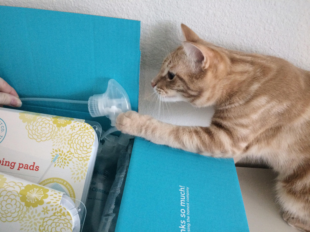 Orange cat playing with plastic sprayer top inside box