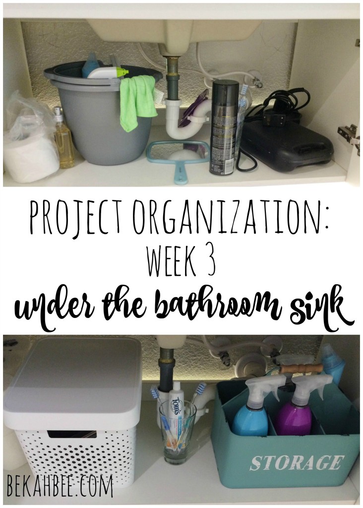 Project Organization Week 3: Under the Bathroom Sink