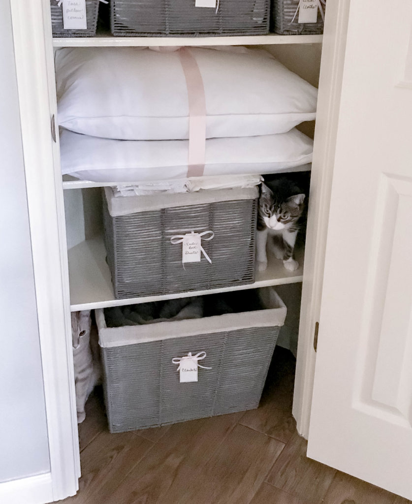 inside view of organized linen closet with two cats hiding in it