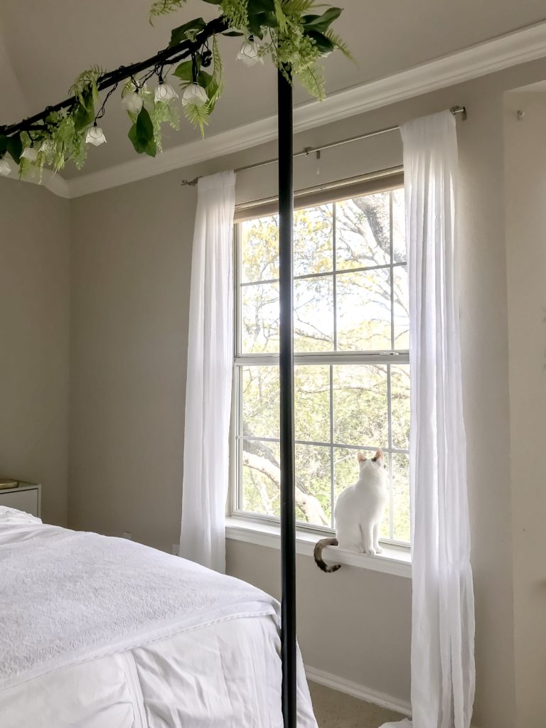 view of white cat sitting in the bedroom window